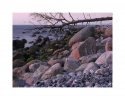 Ostseek�ste V