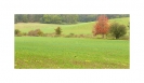 Ackerlandschaft