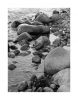 Ufersteine Ostsee