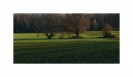 Landschaft