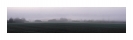 Morgennebel am Stadtrand