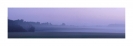 Morgennebel Bodeniederung